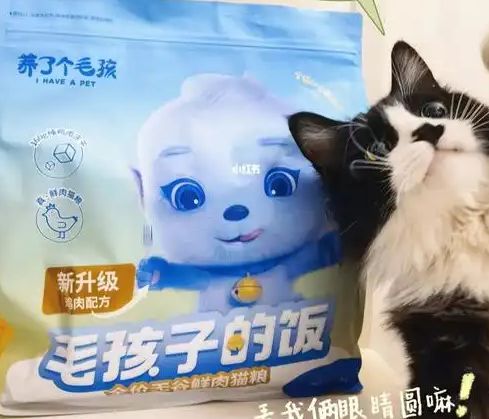 ！三只松鼠靠什么重返宠物食品赛道AG真人零食巨头盯上毛孩子口粮(图3)