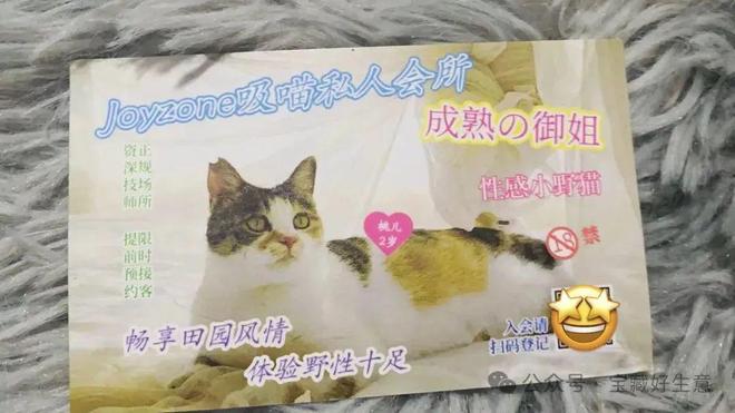 消费品从业者的五年创业思考AG真人国际厅深度 一个新(图5)