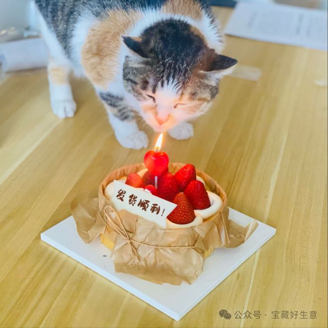 消费品从业者的五年创业思考AG真人国际厅深度 一个新(图6)
