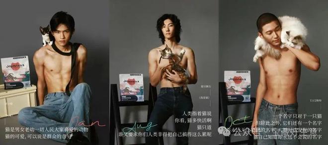 消费品从业者的五年创业思考AG真人国际厅深度 一个新(图7)