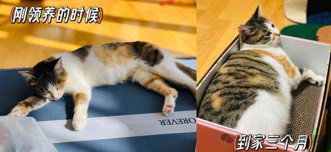 消费品从业者的五年创业思考AG真人国际厅深度 一个新(图9)
